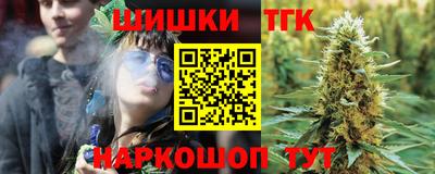 тгк Будённовск