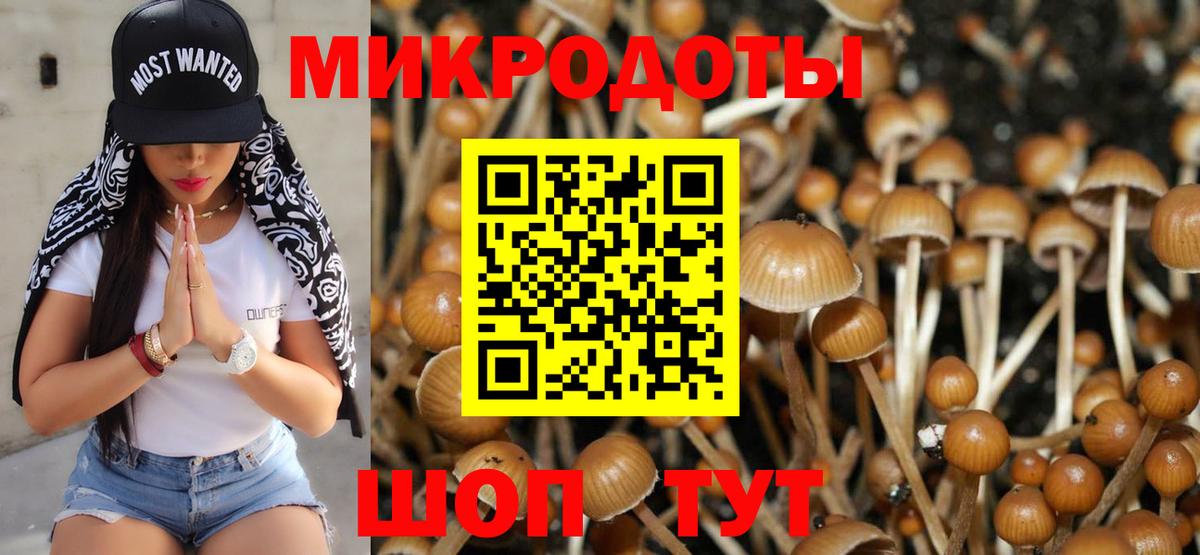 Псилоцибиновые грибы Cubensis  Галлюциногенные грибы прущие грибы  Геленджик  наркота  Вход с VPN 