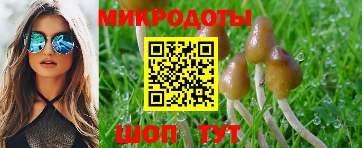 Псилоцибиновые грибы GOLDEN TEACHER Геленджик